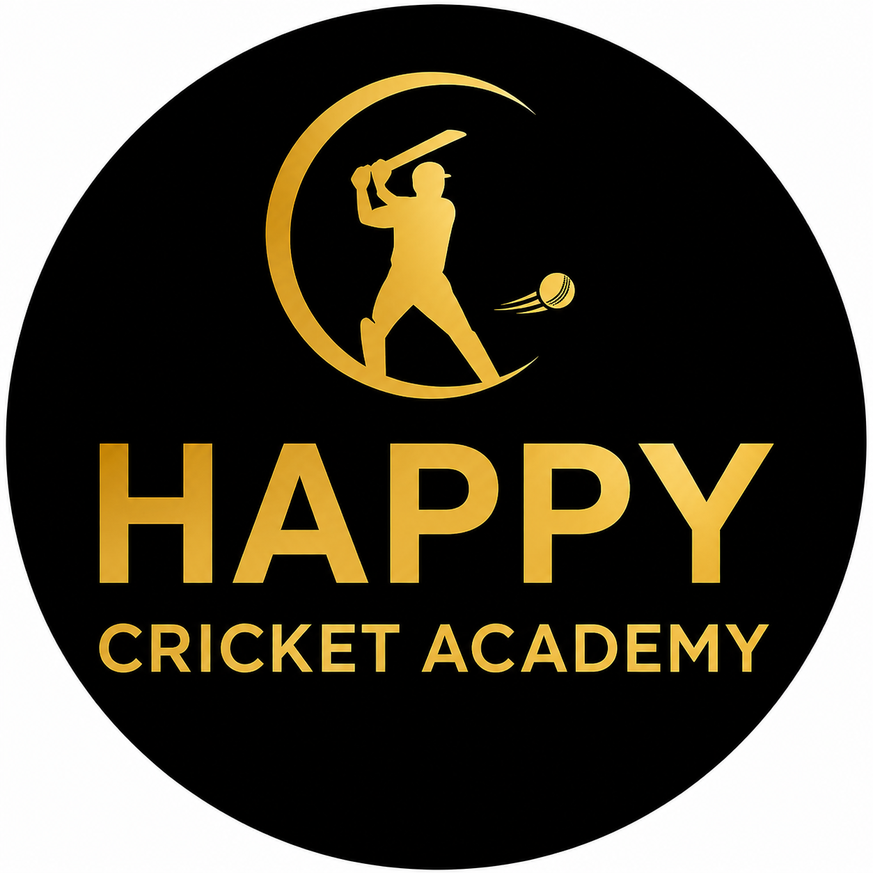 Happy Cricket Academy